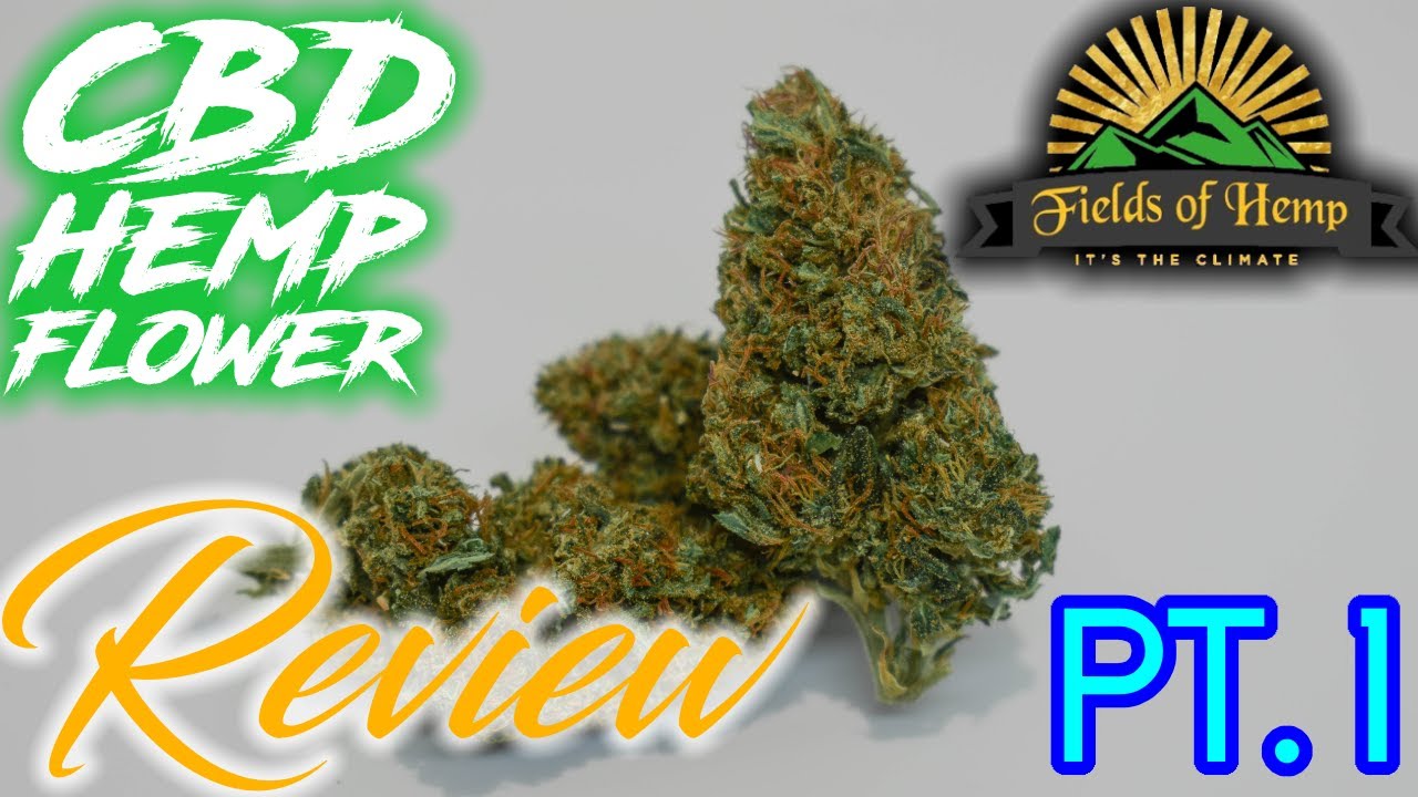 Fields of Hemp IS BACK (CBD Hemp Flower Review) Pt. 1
