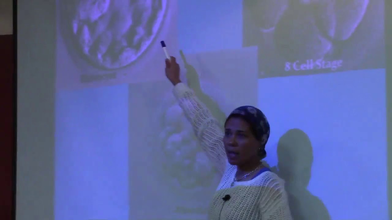 R2 Fertilization and Placental formation 9/4/2019