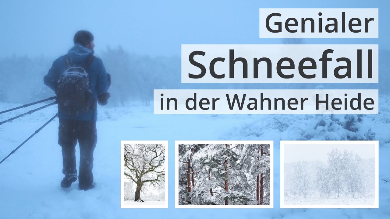Naturfotografie: Tiefster WINTER mit viel SCHNEEFALL in der WAHNER HEIDE