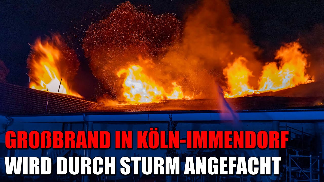 Großbrand in Köln: Sturmböen fachen meterhohe Flammen immer wieder an | 22.02.2024