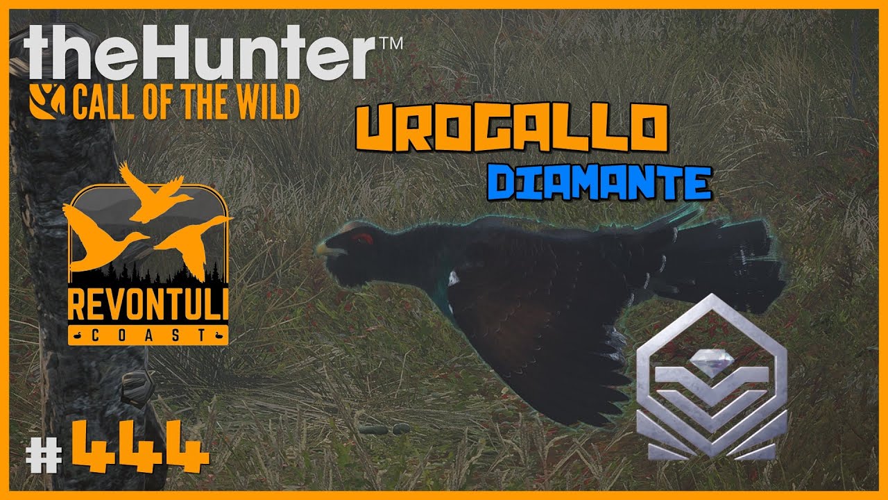 🦌theHunter: CotW #444 | MI PRIMER DIAMANTE EN REVONTULI COAST - EL UROGALLO :D | Español