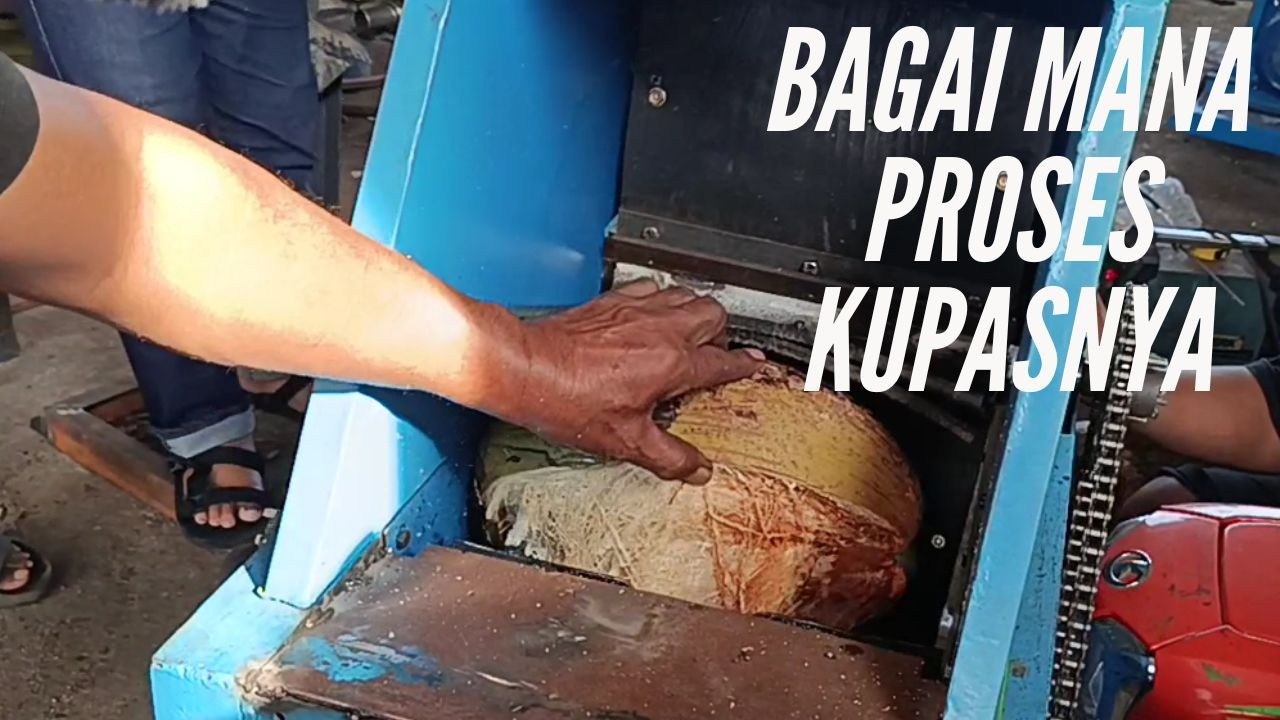 PROSES PENGUPASAN SABUT KELAPA SANGAT CEPAT - MESIN KUPAS SABUT KELAPA