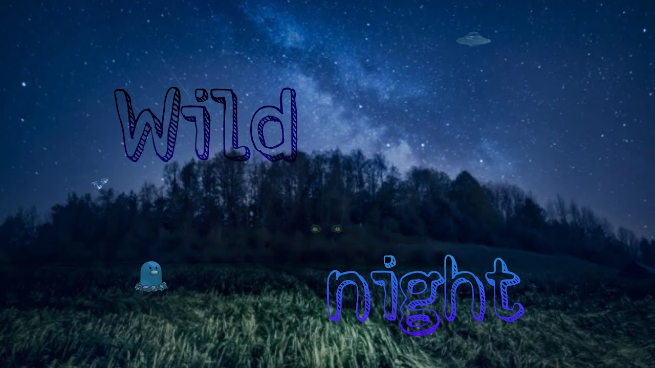 DormouseSounds-Wild night