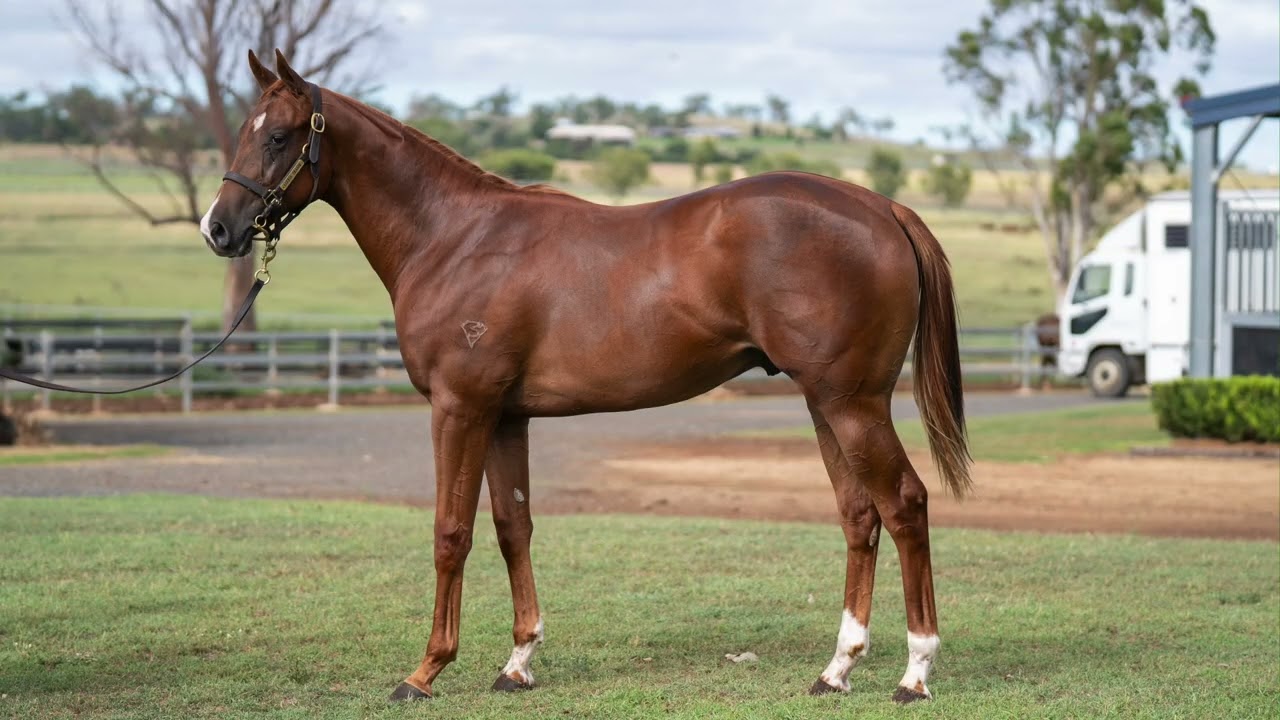 Lot 340