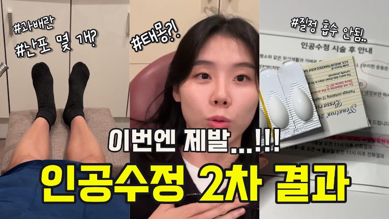 난임브이로그 ep.11 인공수정 2차 성공 or 실패? feat.무증상