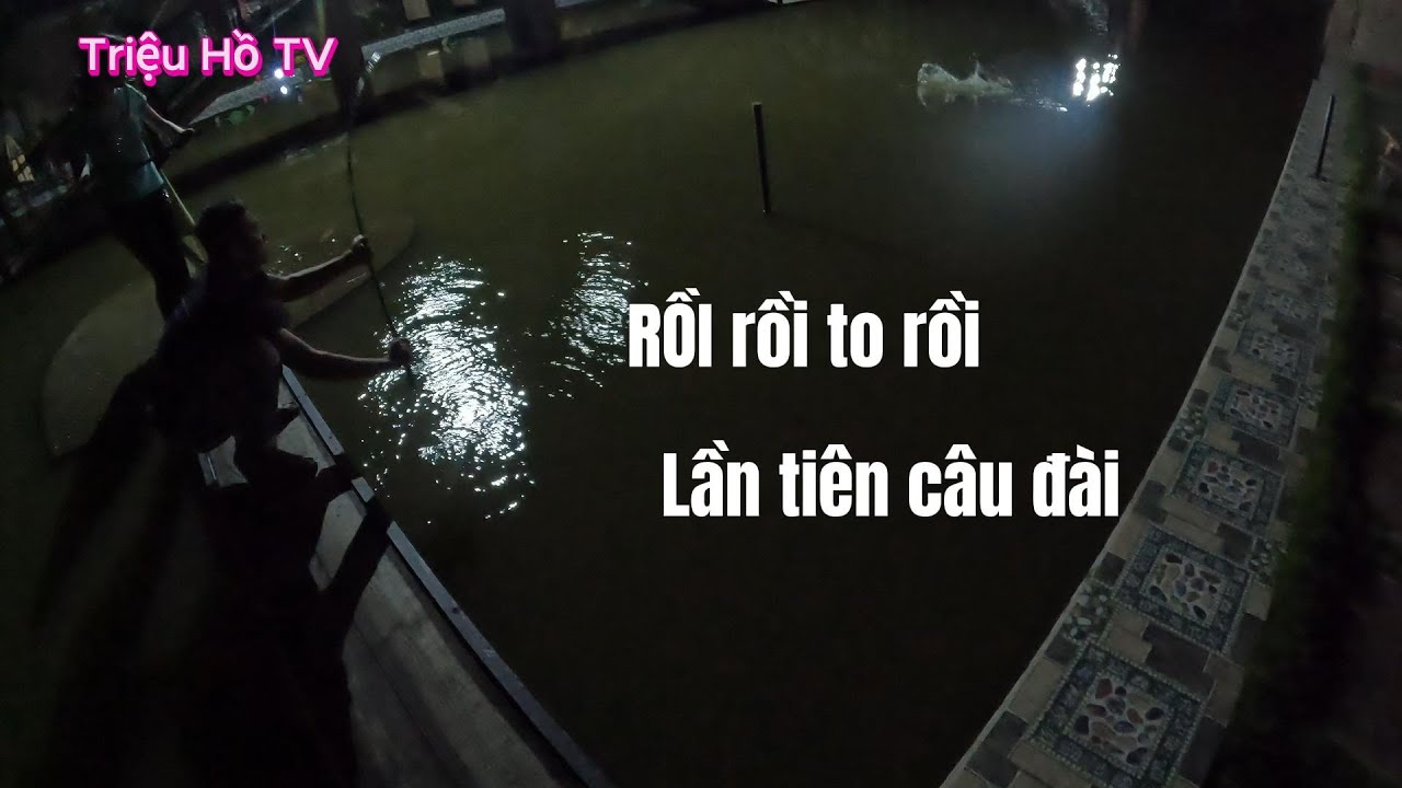 Lần  Đầu Ti&ecirc;n C&acirc;u Đ&agrave;i  | Triệu Hồ TV