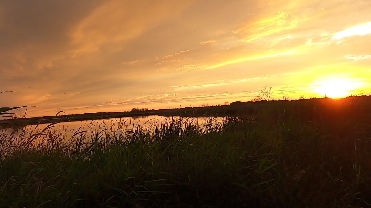 Wildkamperen op een geheime locatie
