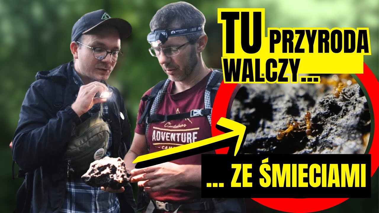 2️⃣ To WYJĄTKOWE miejsce - DZIKA przyroda i DZIKIE wysypiska ! 😮 Projekt 