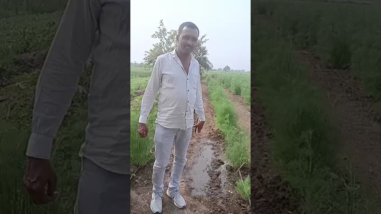 આજે આશા બેને દરબાર માટે શું કીધું