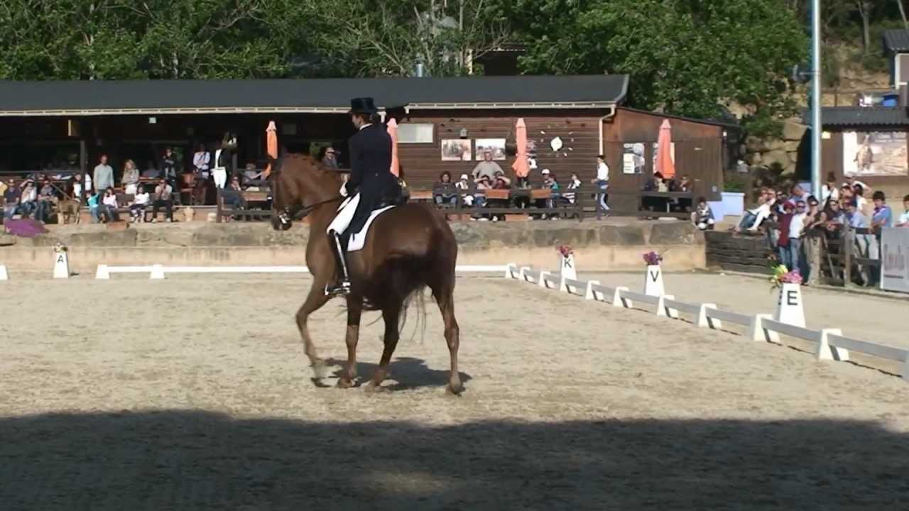 Beatriz Ferrer Salat y Dupré CDN** San Jorge