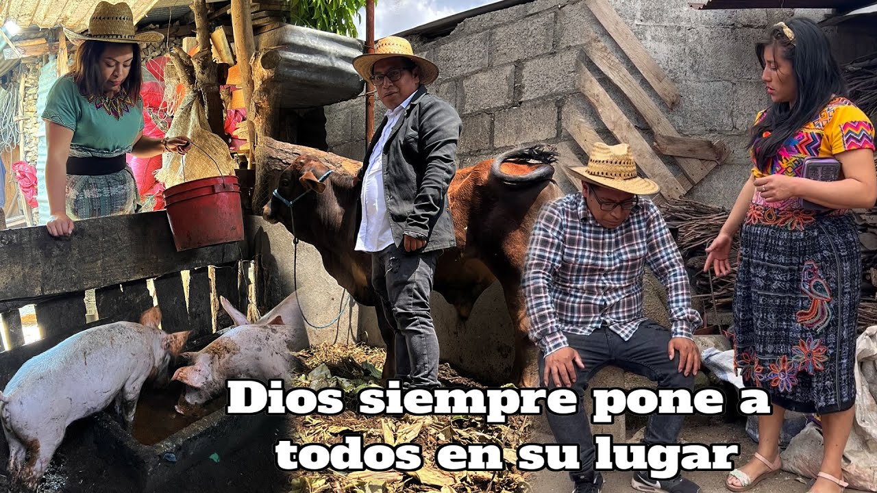 Dios siempre pone a todos en su lugar REFLEXION