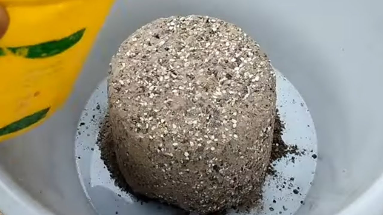 ASMR Gritty Damp Charcoal ashes Buckets Crumbling & Water pouring on Shapes #crumbling #sandasmr