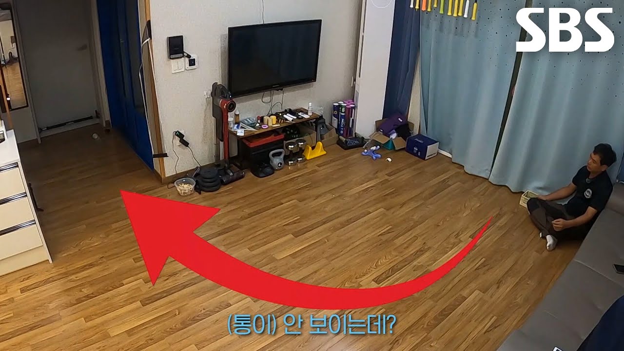 코너 뒤 안 보이는 통 안으로 구슬 넣는 달인의 신들린 기술♨