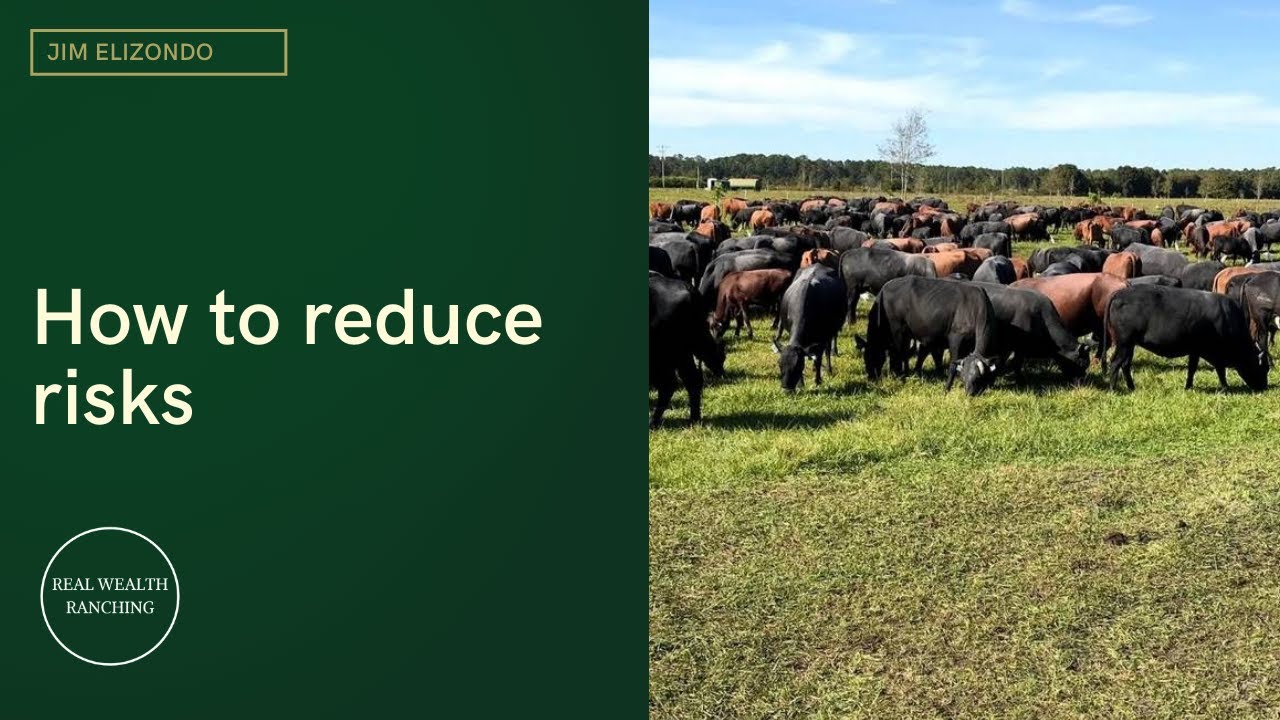 How to reduce risks - Jaime Elizondo