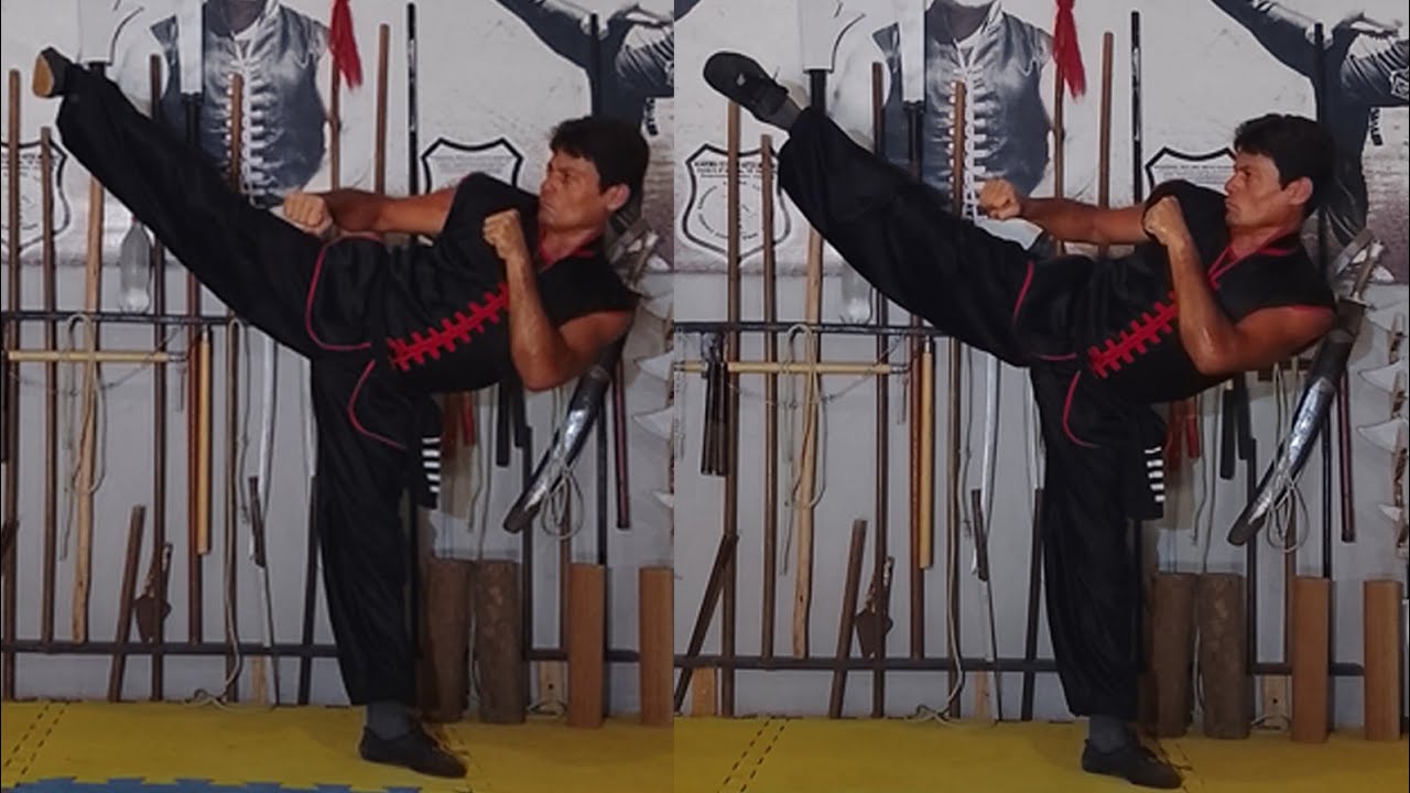 Chutes da Faixa Branca do Kung Fu Estilo Livre