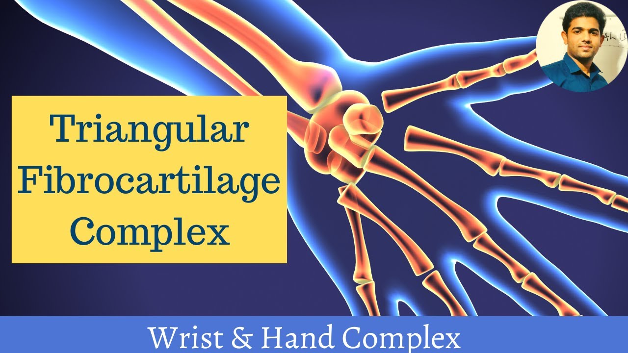 Triangular Fibrocartilage complex # Wrist and Hand Complex