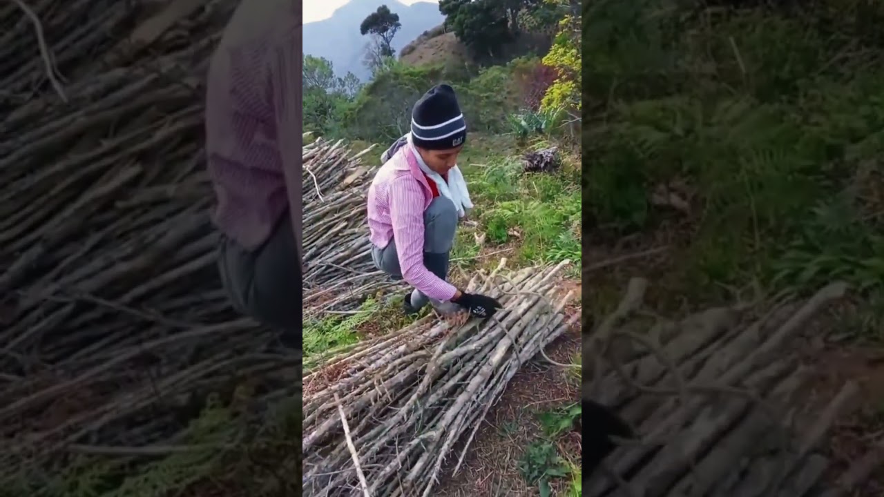 Como cargar leña.