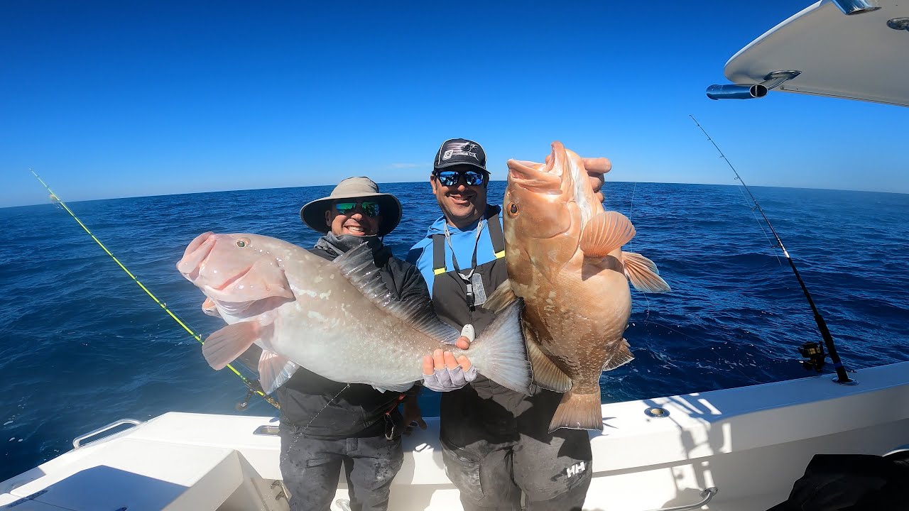 EASY Red Grouper Limits off Naples, Florida in the Gulf of Mexico *Catch & Cook*