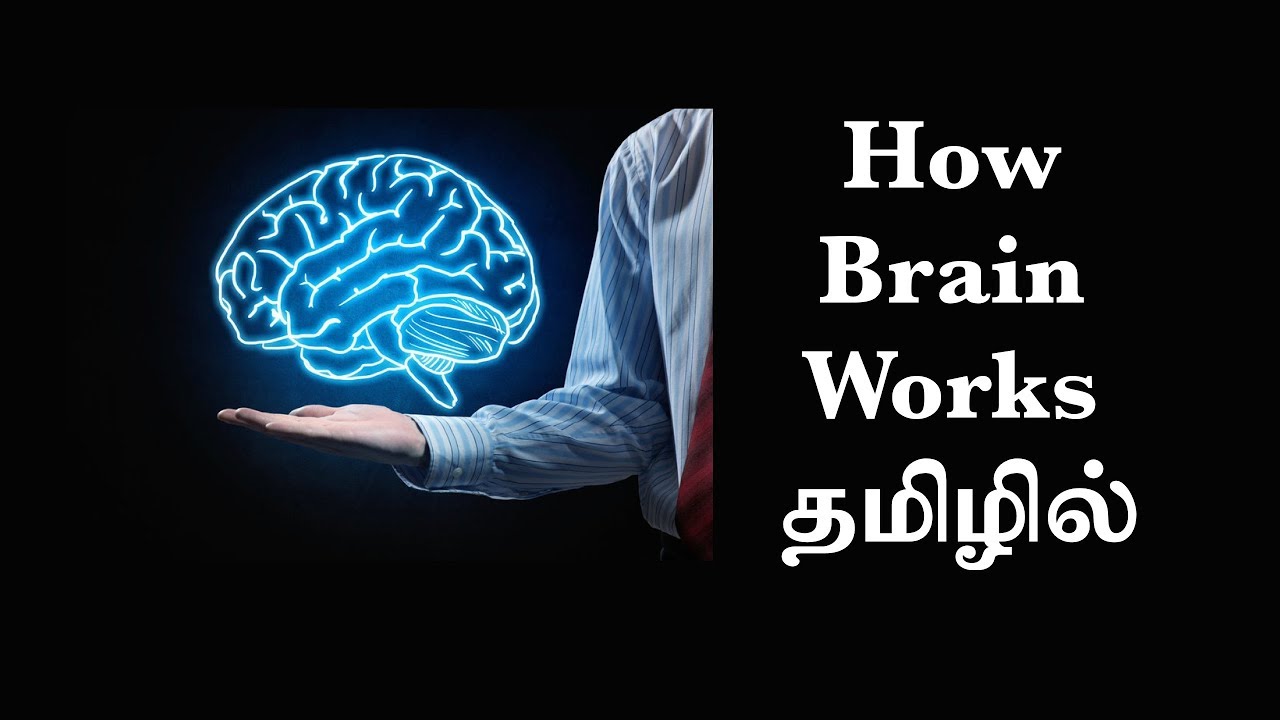 மூளை எப்படி வேலை செய்கிறது? (Ep7) Basic Psychology in Tamil