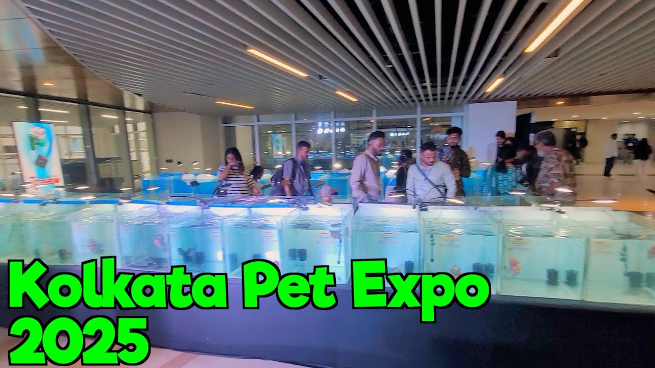 Kolkata Pet Expo 2025 I Biggest Fish Expo in Kolkata | Part 1