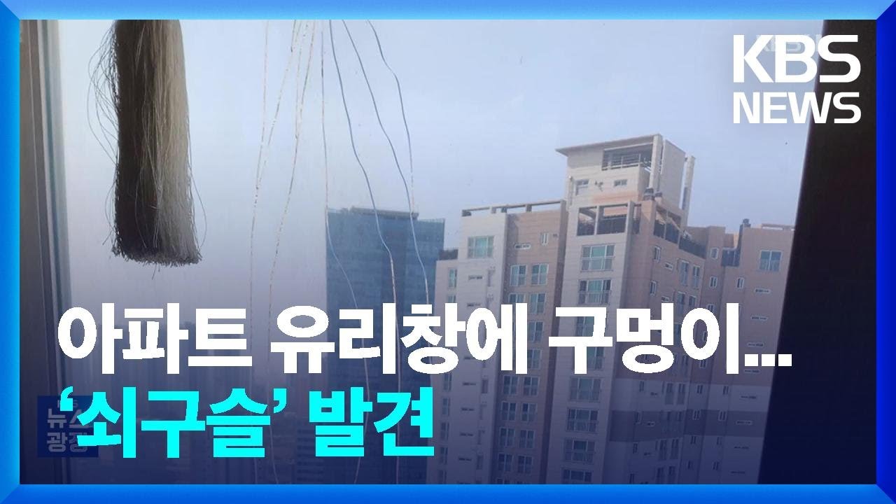 29층 아파트 유리창에 3cm 구멍이&hellip;&lsquo;쇠구슬&rsquo; 발견 [잇슈 키워드] / KBS  2023.03.14.