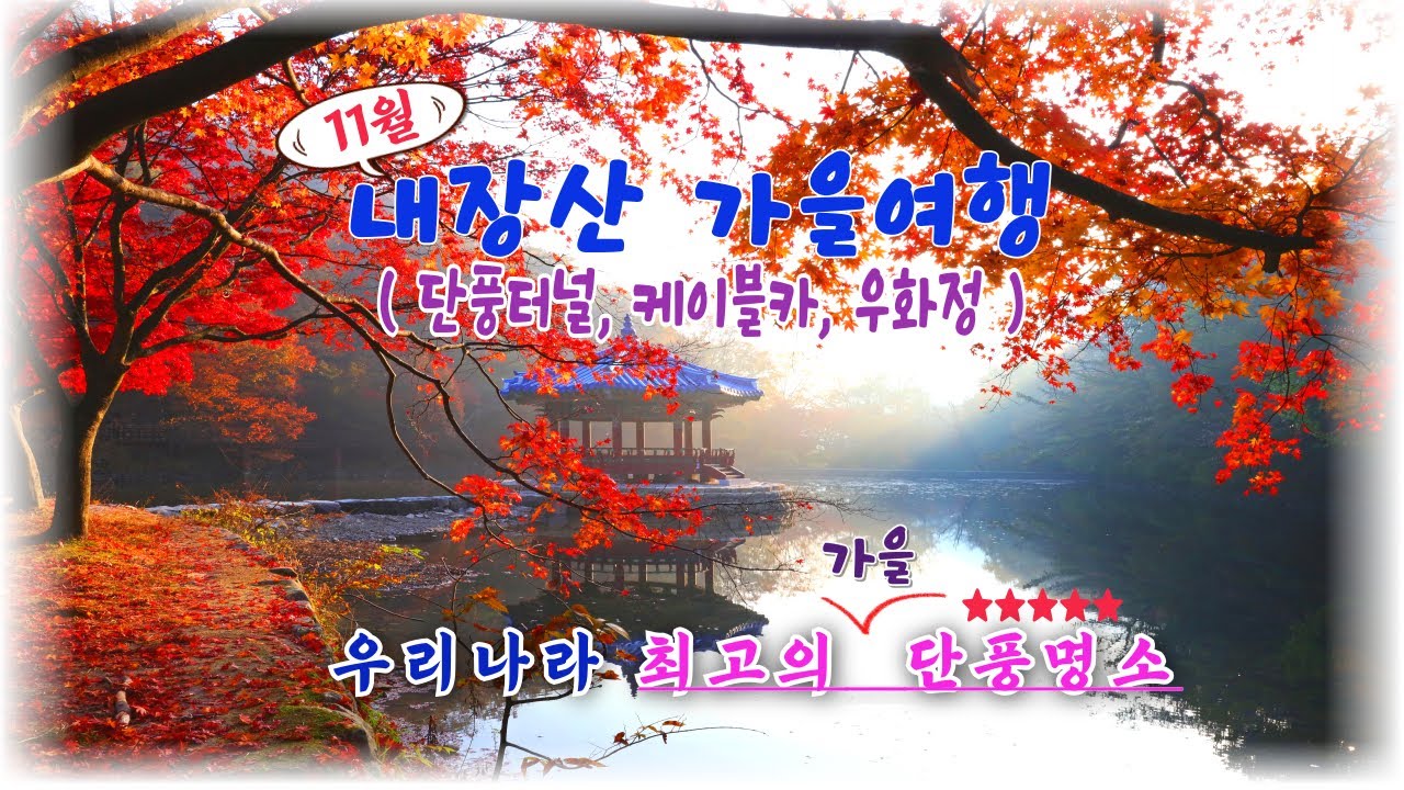 😍😍우리나라 최고의 단풍명소/Korea's Best Maple Spot/내장산 단풍/ 우화정/가을 단풍여행/내장산 가을단풍💖