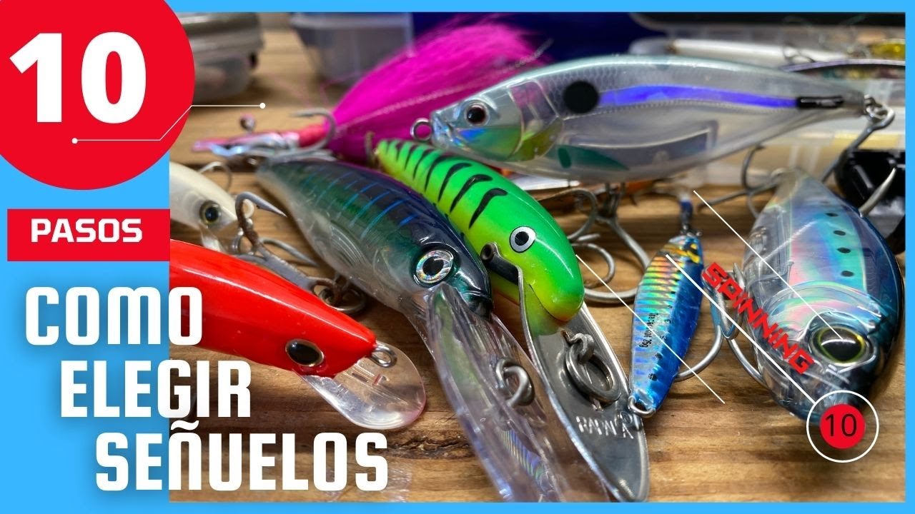 ▶🔴10 Pasos para Elegir tus SE&Ntilde;UELOS  de Pesca