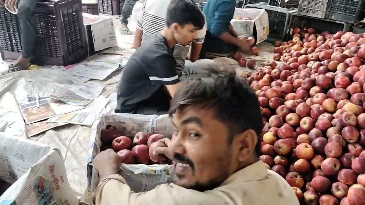 #Japani aur Anar ke taaja bhav sabji mandi Bhuntar Kullu Himachal Pradesh#19/9/2025#
