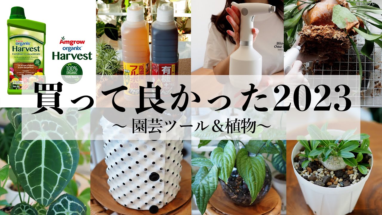 今年買って良かった植物＆園芸ツール【2023年】