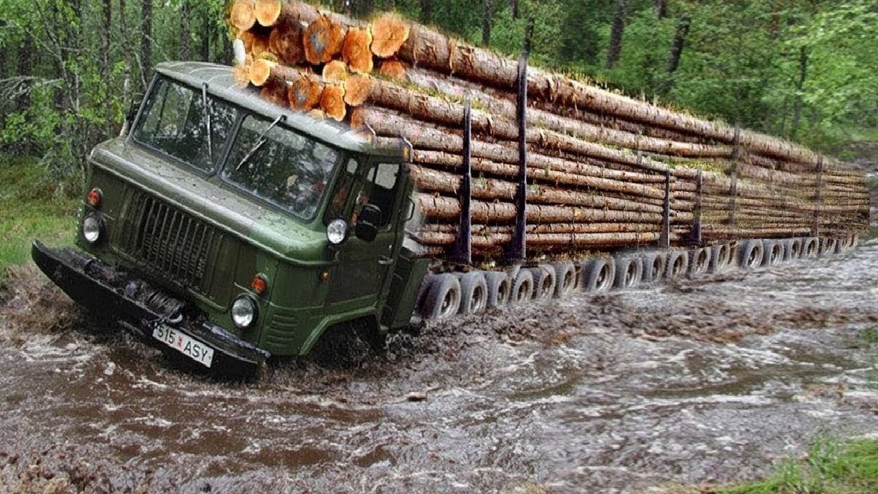 Dangerous Fatest Heavy Logging Truck Operator Skill Driving, Most Crazy People Chainsaw Tree Cutting