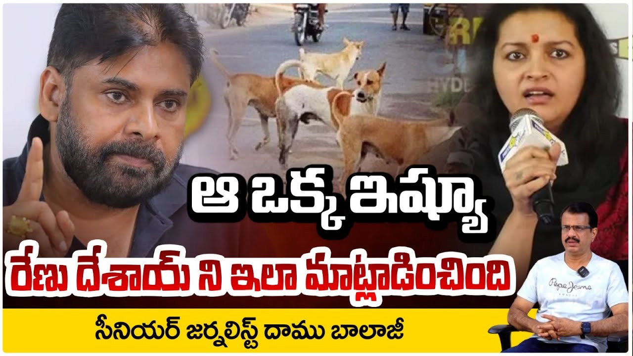 ఆ ఒక్క ఇష్యూ... రేణు దేశాయ్ ని ఇలా మాట్లాడించింది!! Renu Desai | Save Street Dogs | Pawan Kalyan
