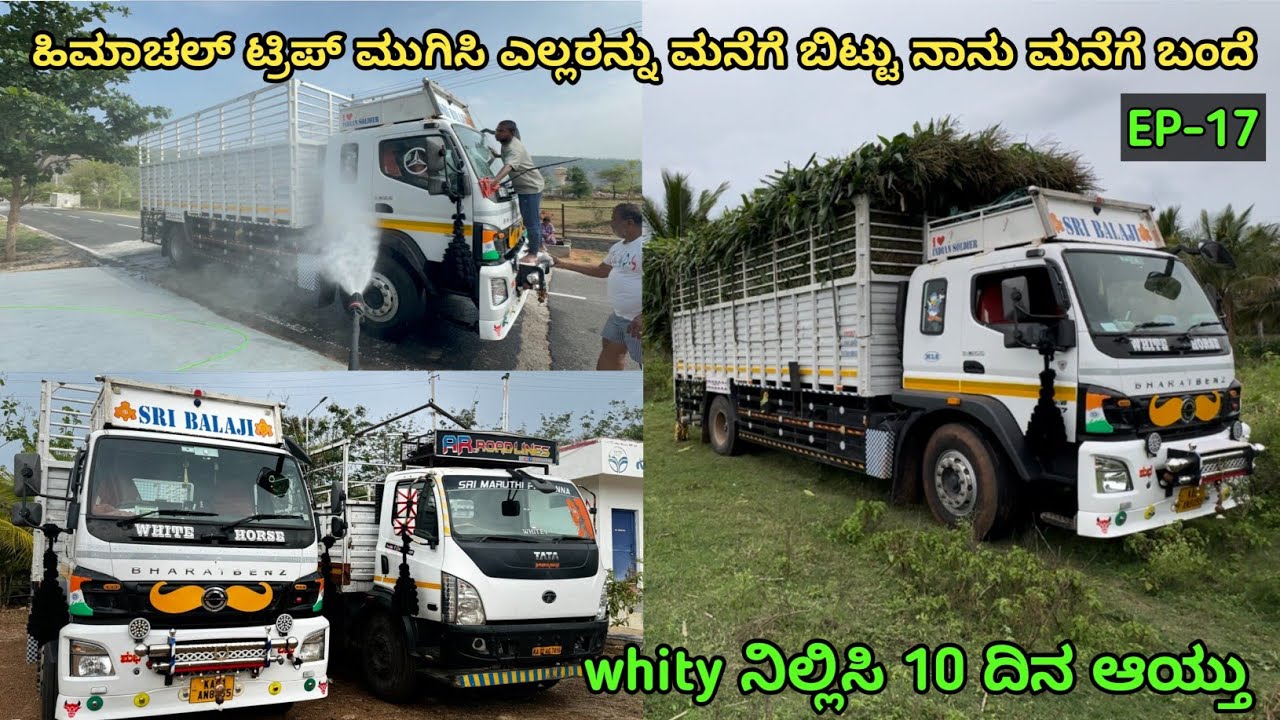 ಹಿಮಾಚಲ್ ಟ್ರಿಪ್ ಮುಗಿಸಿ ಮನೆಗೆ ಬಂದ್ವಿ | whity ನಿಲ್ಲಿಸಿ 10 ದಿನ ಆಯ್ತು | #kannadatruckvlogs #lorryvlog