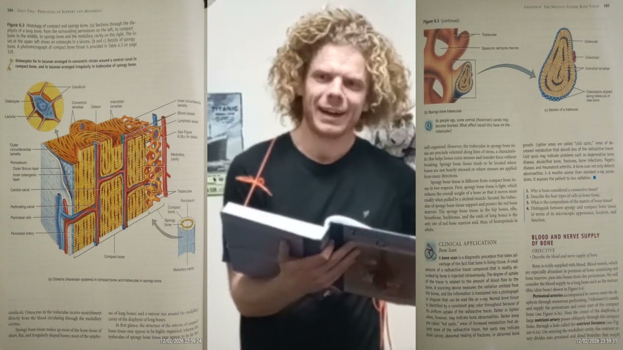 Osteology Part 7, Spongy Bone Tissue Part 2, and Wristtraining, Reg. SSENQMUG