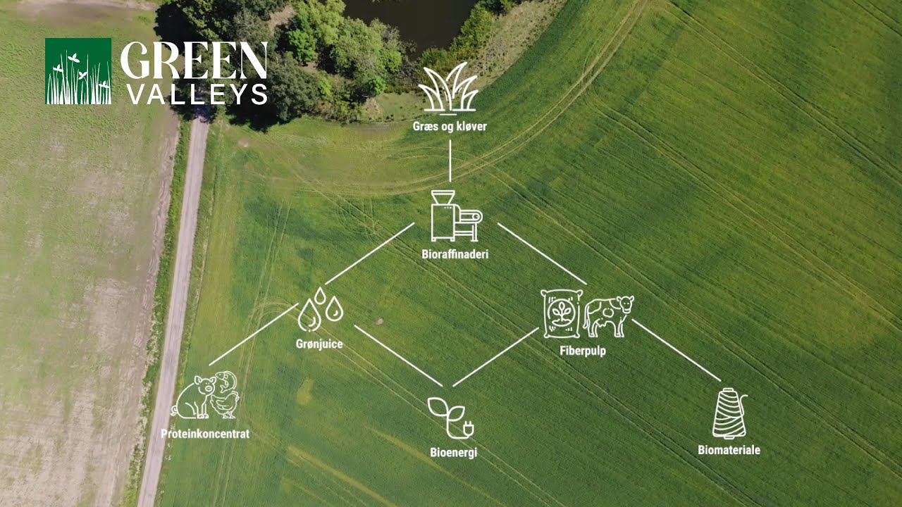 Green Valleys – En cirkulær systemløsning til grøn bioraffinering af græs og kløver.