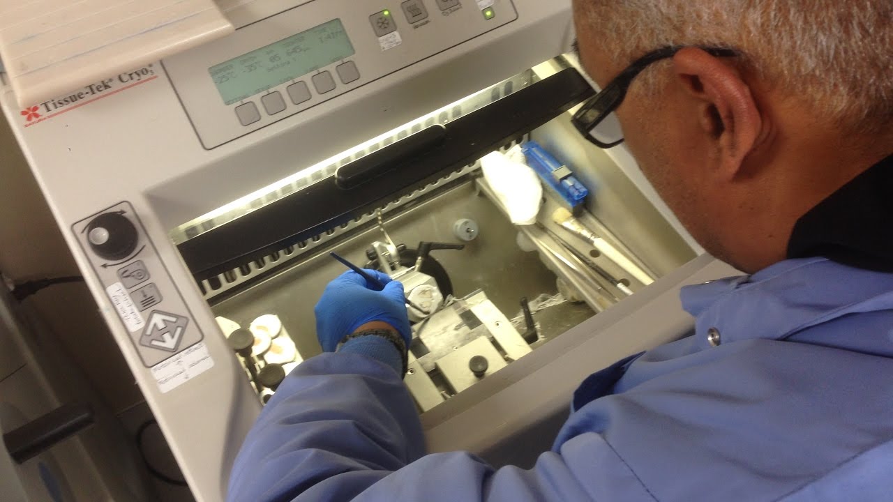 How Pathologists do Frozen Sections - Real-time Experience at USAFA