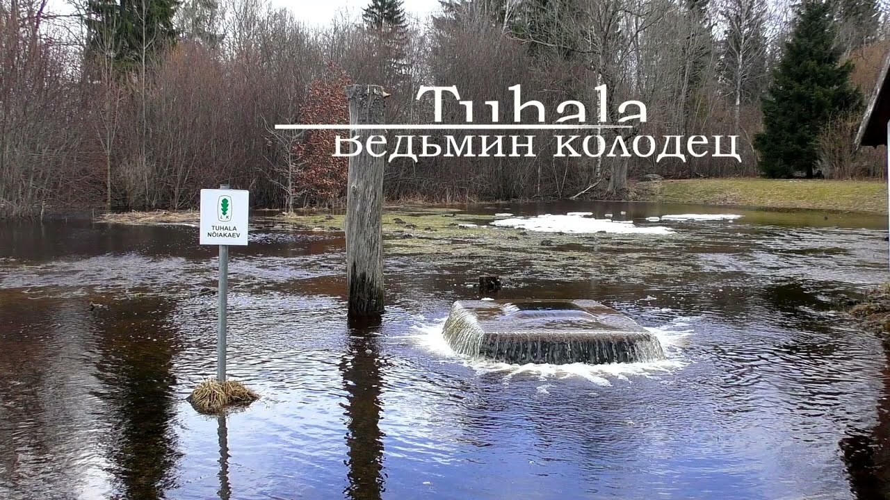 Ведьмин колодец в Тухала  Witch's well in Tuhala  2022