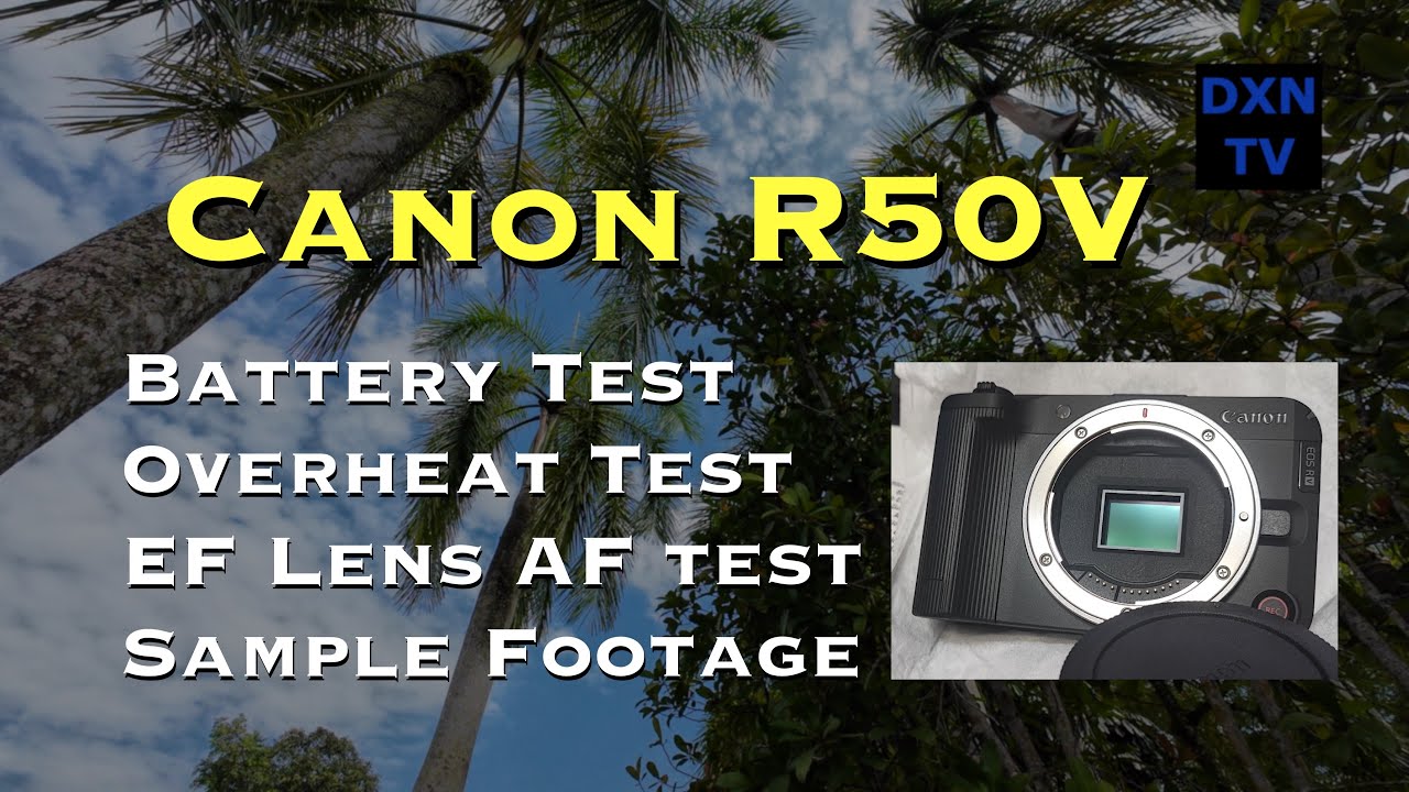 Canon R50V 4K test video footage - Walkabout at MacRitchie Reservoir, Singapore with EF 100-400mm