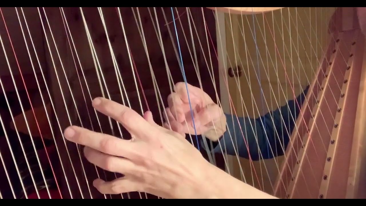 Bourrée (Suite nr. 1 in Em for Lute, by J.S.Bach) BWV 996, on chromatic harp (Reidun Schlesinger)