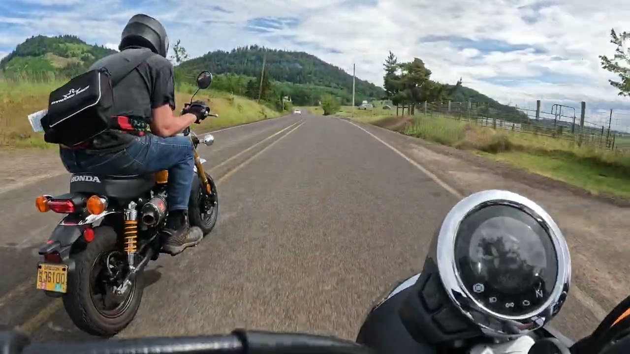 2022 Honda Monkey 125 ride 13