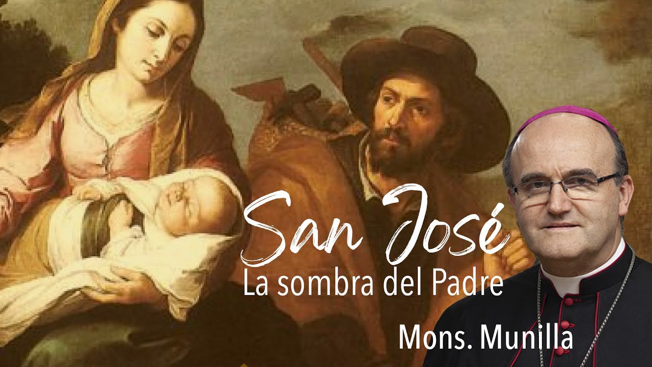San José, la sombra del Padre   MONS. MUNILLA