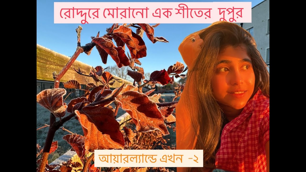 রোদ্দুরে মোরানো এক শীতের দুপুর । শিশির জমে বরফ । আয়ারল্যান্ডে -২ ডিগ্রী। An Irish Winter Afternoon