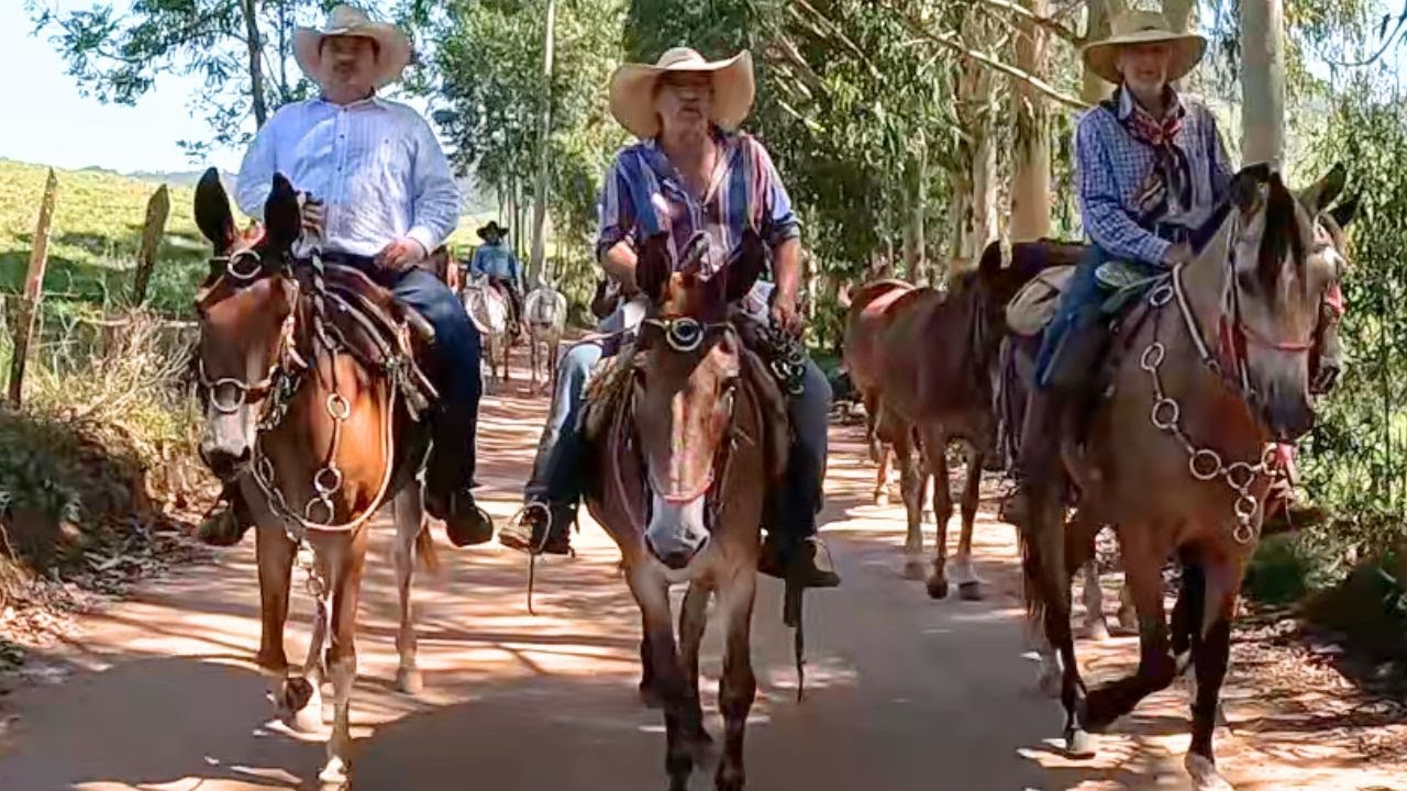 TROPEIROS AMIGOS DO LELO NO CAMINHO DA FÉ !