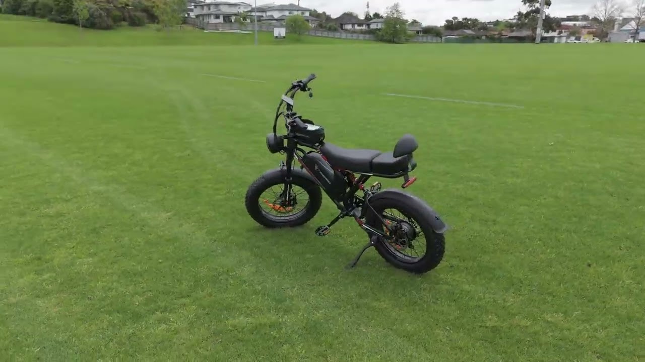 Honey Whale Electric Bike K6S