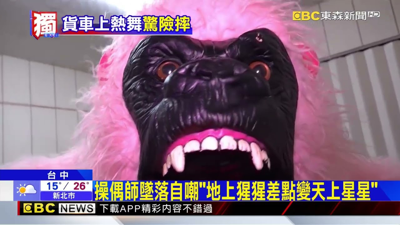獨家》兩米大猩猩後仰墜車 20KG電瓶重壓操偶師@newsebc