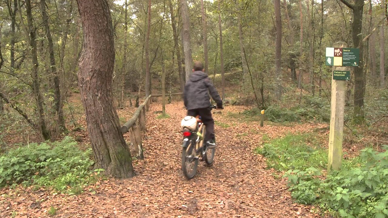 Herfst op Beerze Bulten: Een giga gave Herfstvakantie