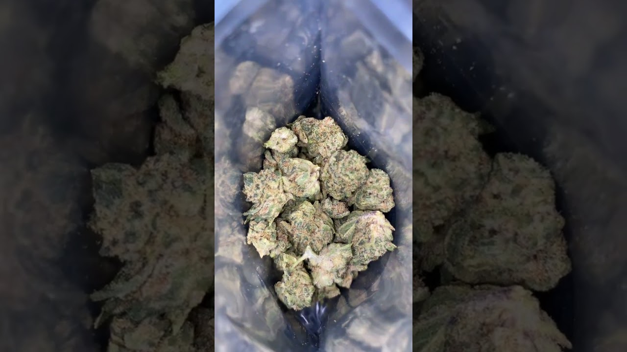 Grape stomper 🍇#hempcommunity #weedcommunity #youtube #thcareview