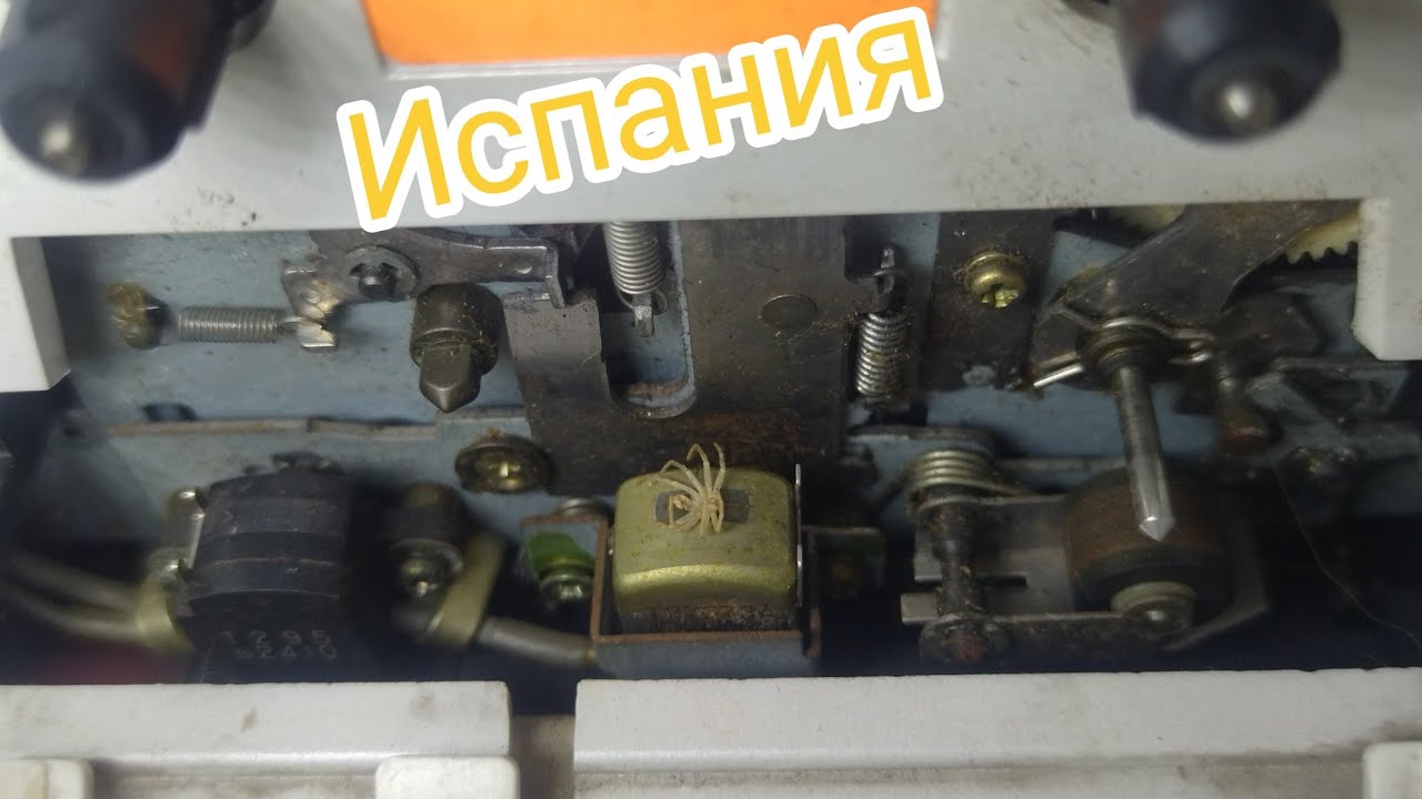 📻 Спящая красавица😁