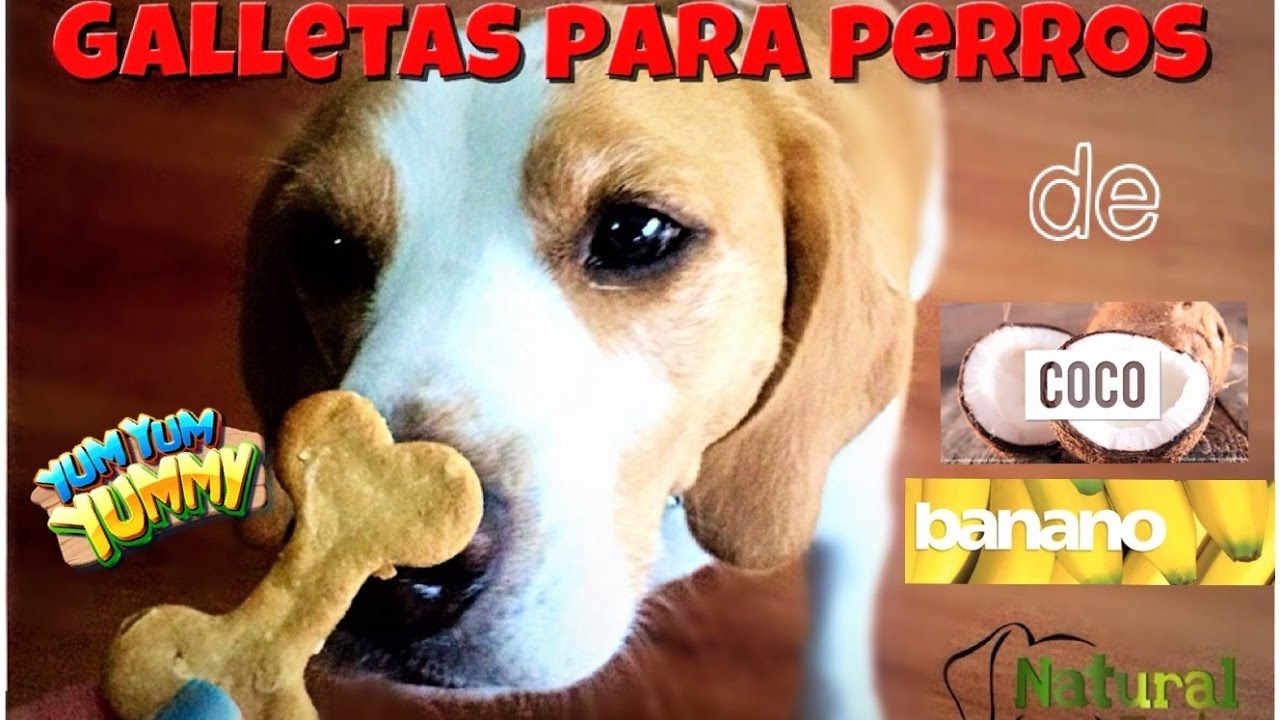 galletas de coco-banano para cachorros o perros alergicos
