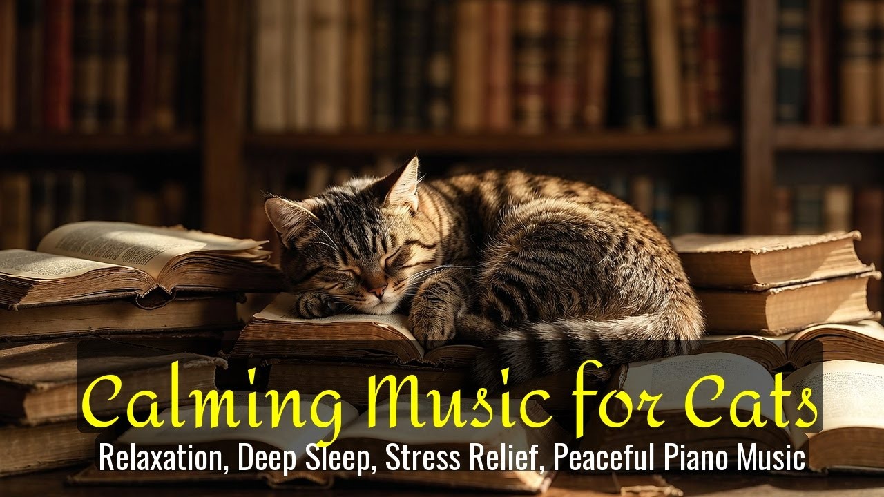 Calming Music for Cats - Relaxation, Deep Sleep, Stress Relief, Peaceful Piano Music | Season 60
