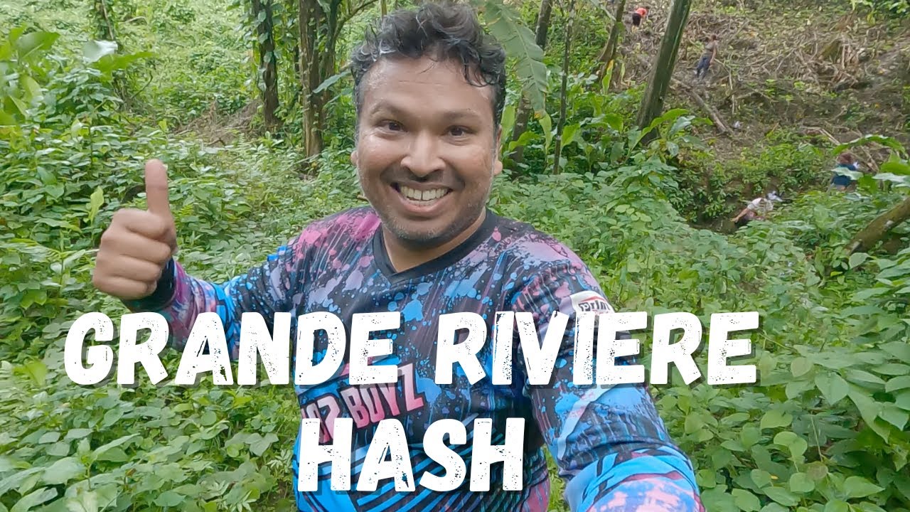 Hashing in Trinidad and Tobago: Grande Riviere Edition